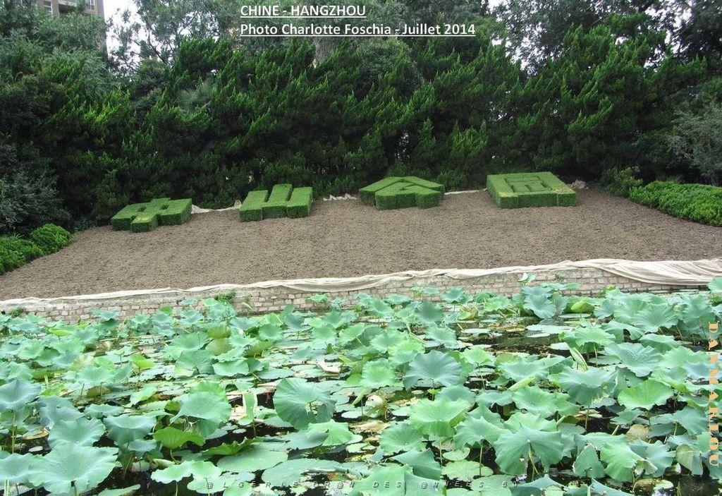 Charlotte- Hangzhou 017.JPG